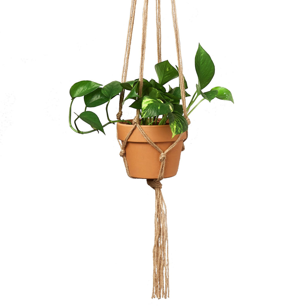 Macrame Hanger - Designed for 5 - 7 inch Planters - Holiday Corner
