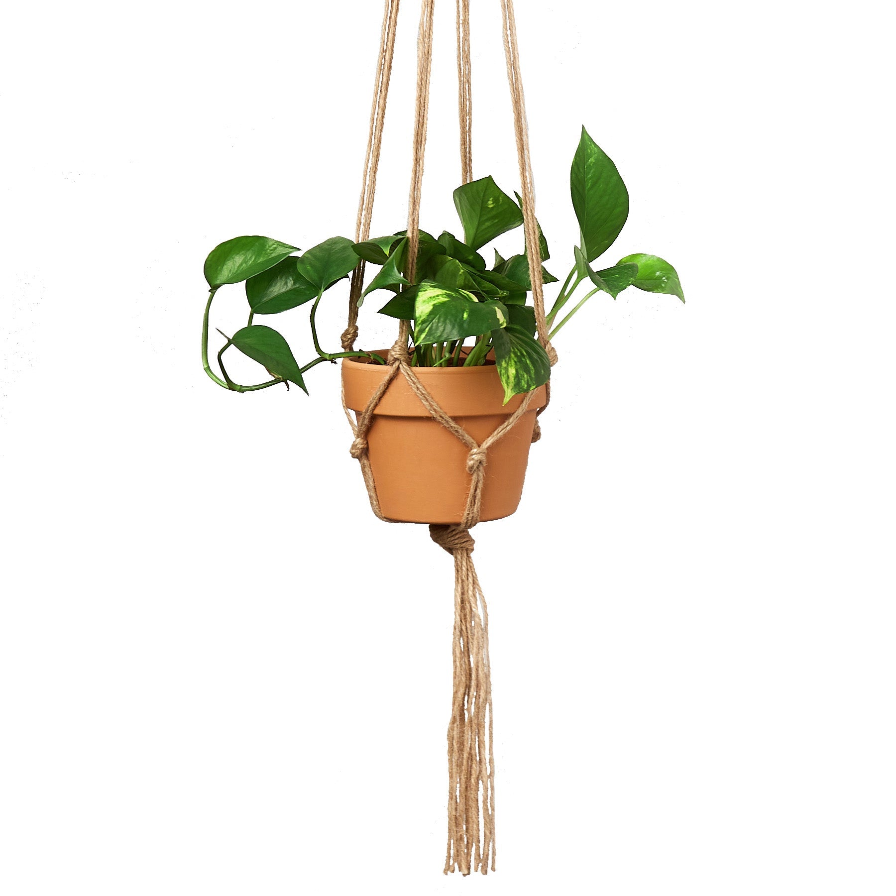 Macrame Hanger - Designed for 5 - 7 inch Planters - Holiday Corner