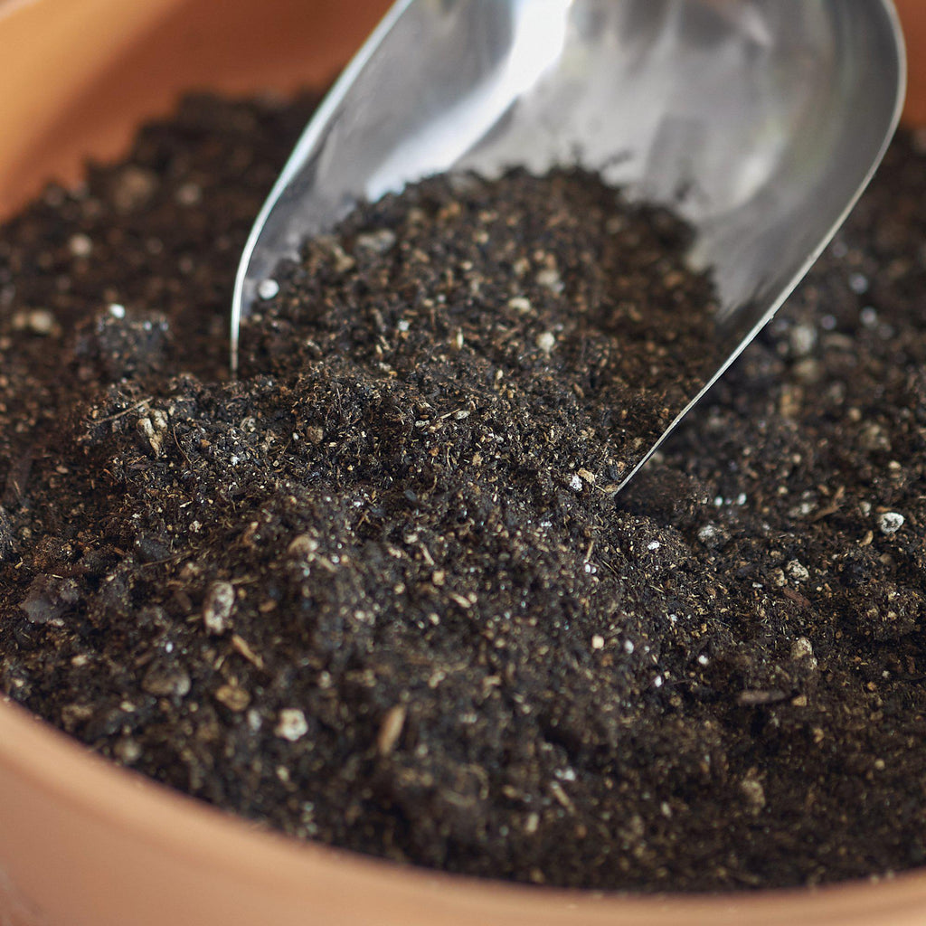 Indoor Plant Potting Soil - Puck - Holiday Corner