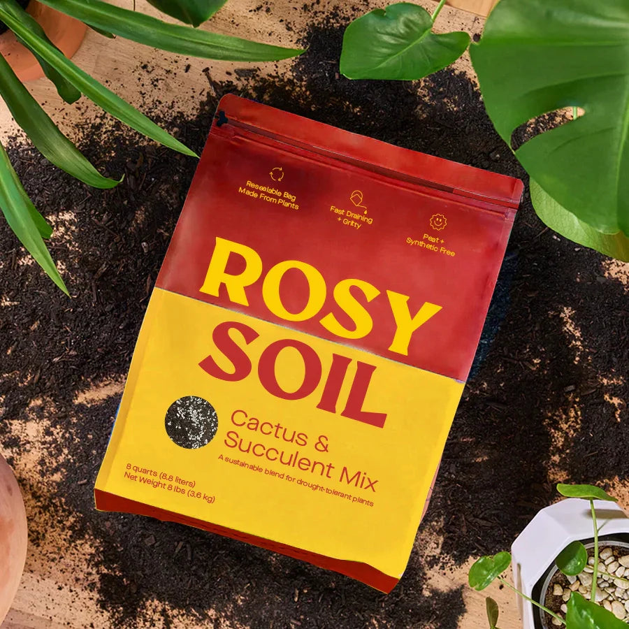 Rosy Cactus & Succulent Potting Soil - Holiday Corner