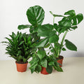 Best Selling Bundle - Holiday Corner