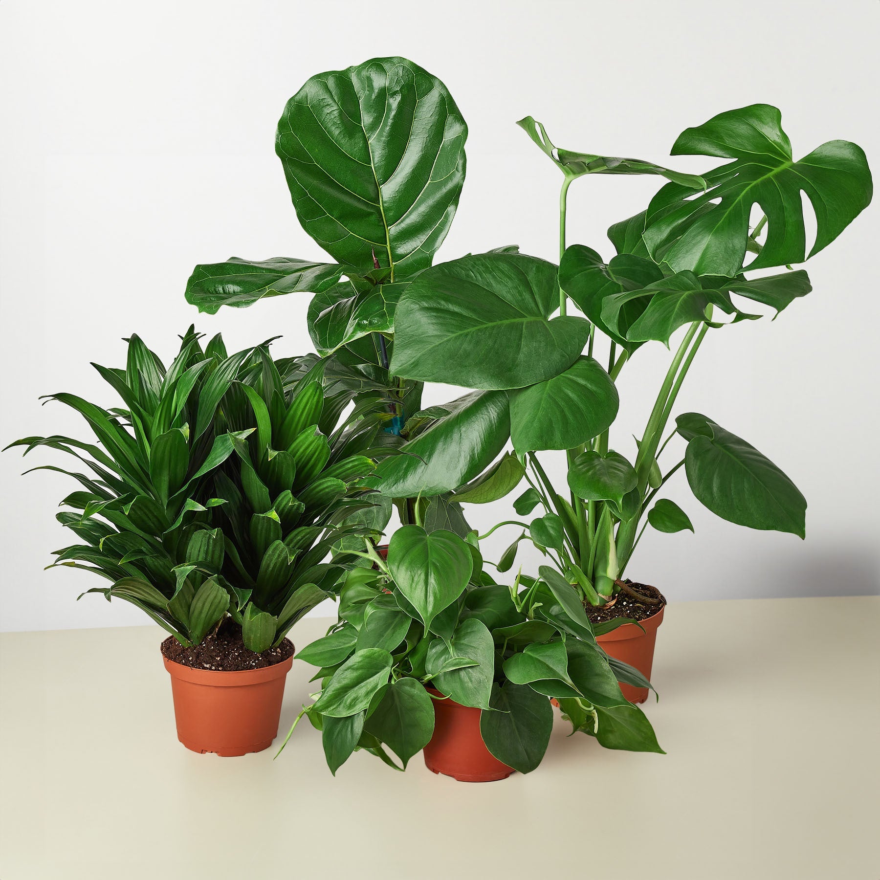 Best Selling Bundle - Holiday Corner