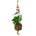 Bead Kokedama Moss Ball Hanging Plant - Holiday Corner