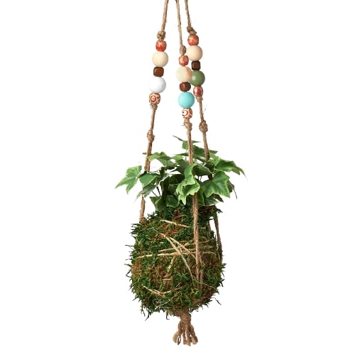 Bead Kokedama Moss Ball Hanging Plant - Holiday Corner