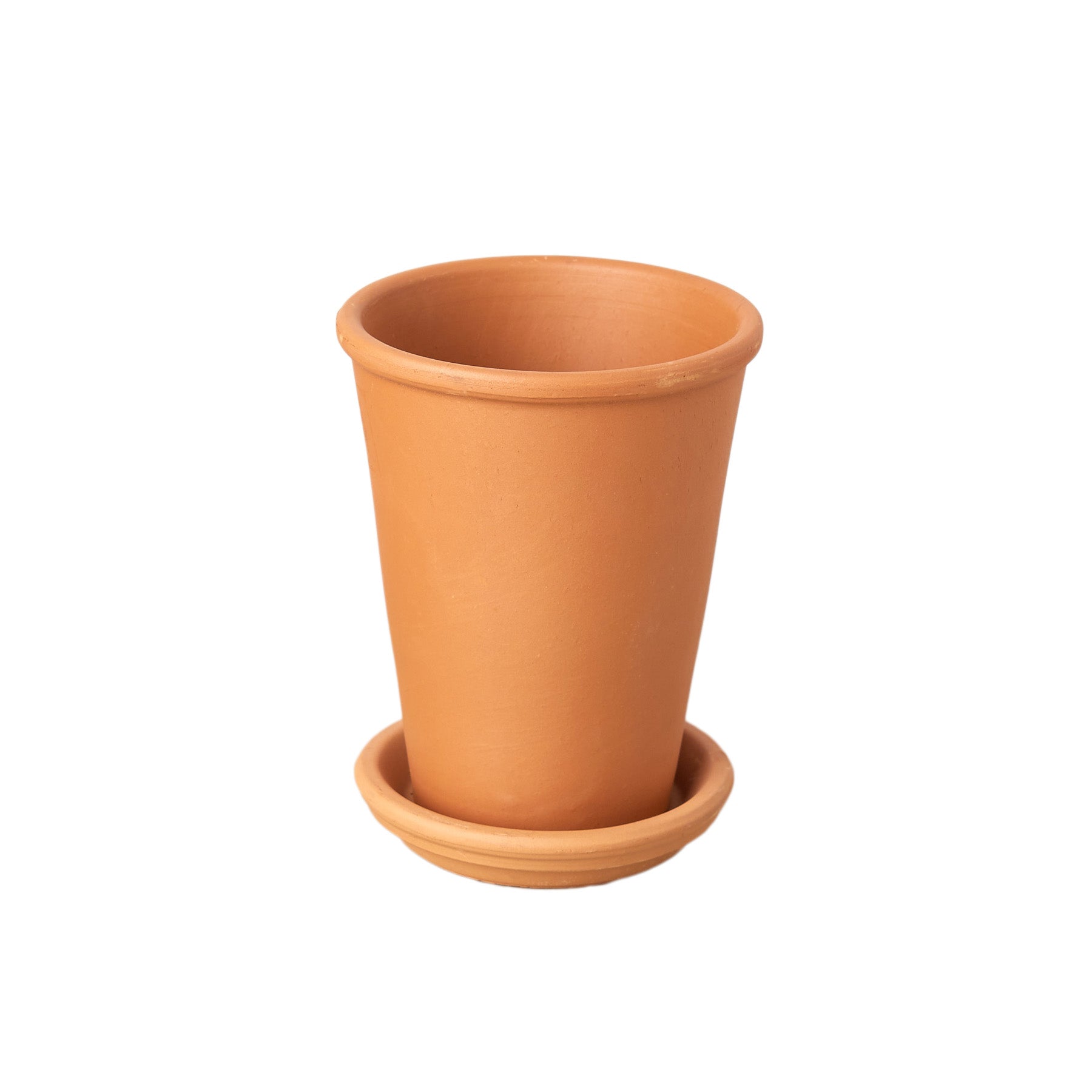 New Plant Parent Bundle - Holiday Corner