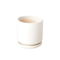 Cylinder Pot - 4 Inch - Holiday Corner