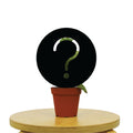 Mystery House Plant B-Grade - Holiday Corner