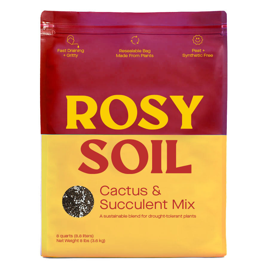 Rosy Cactus & Succulent Potting Soil - Holiday Corner