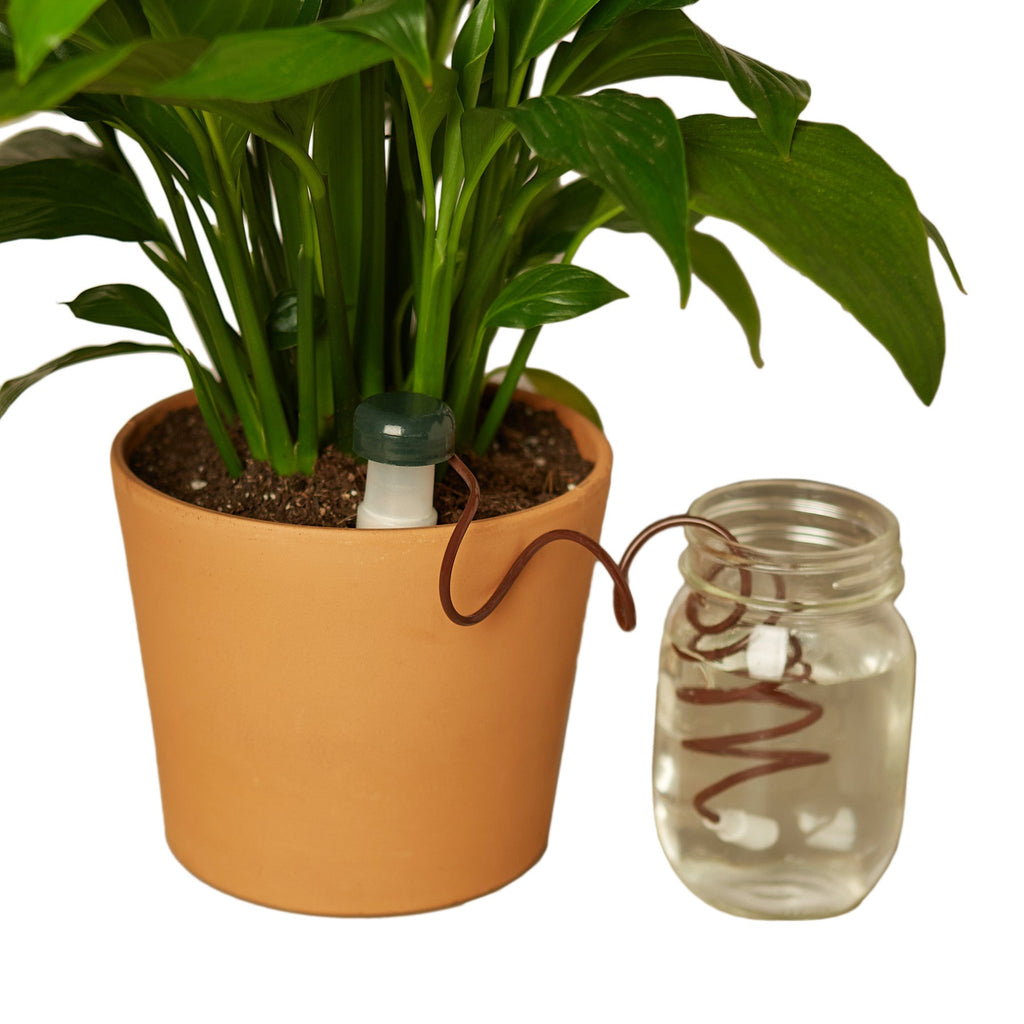Automatic Plant Waterers - Holiday Corner