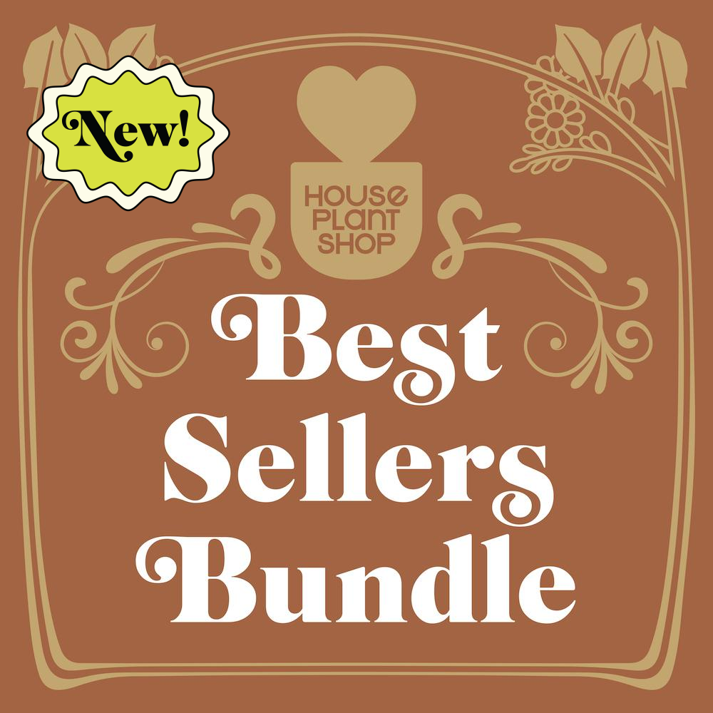Best Selling Bundle - Holiday Corner