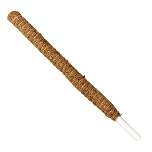 Moss Pole - 22in. - Holiday Corner